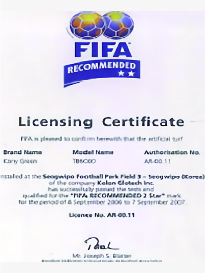 
FIFA certified artificial turf